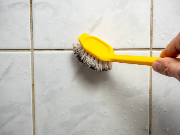 Best Health and Safety Mold Remediation in Smithfield, UT